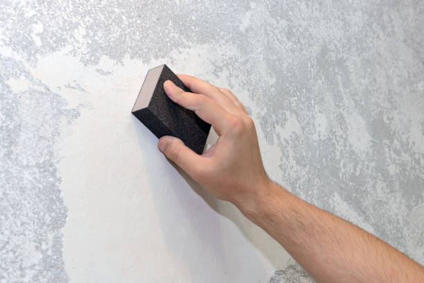 Mold Odor Removal Services in Addison, WV