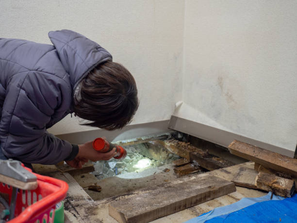 Biohazard Mold Removal in Addison, WV