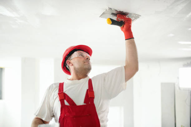 Best Biohazard Mold Removal  in Addison, WV
